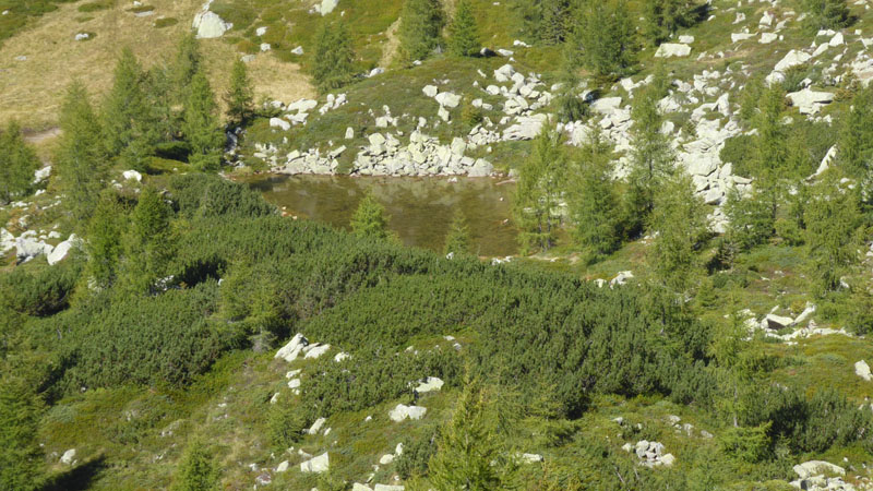 Laghi.......del TRENTINO